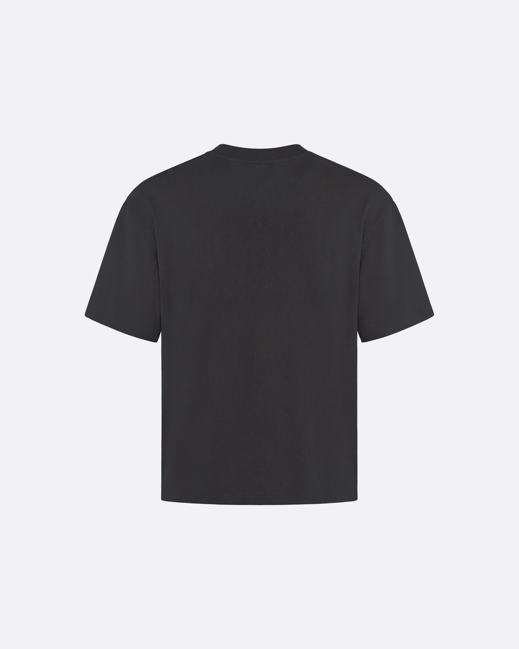 FITTED CROP T-SHIRT - GRAY