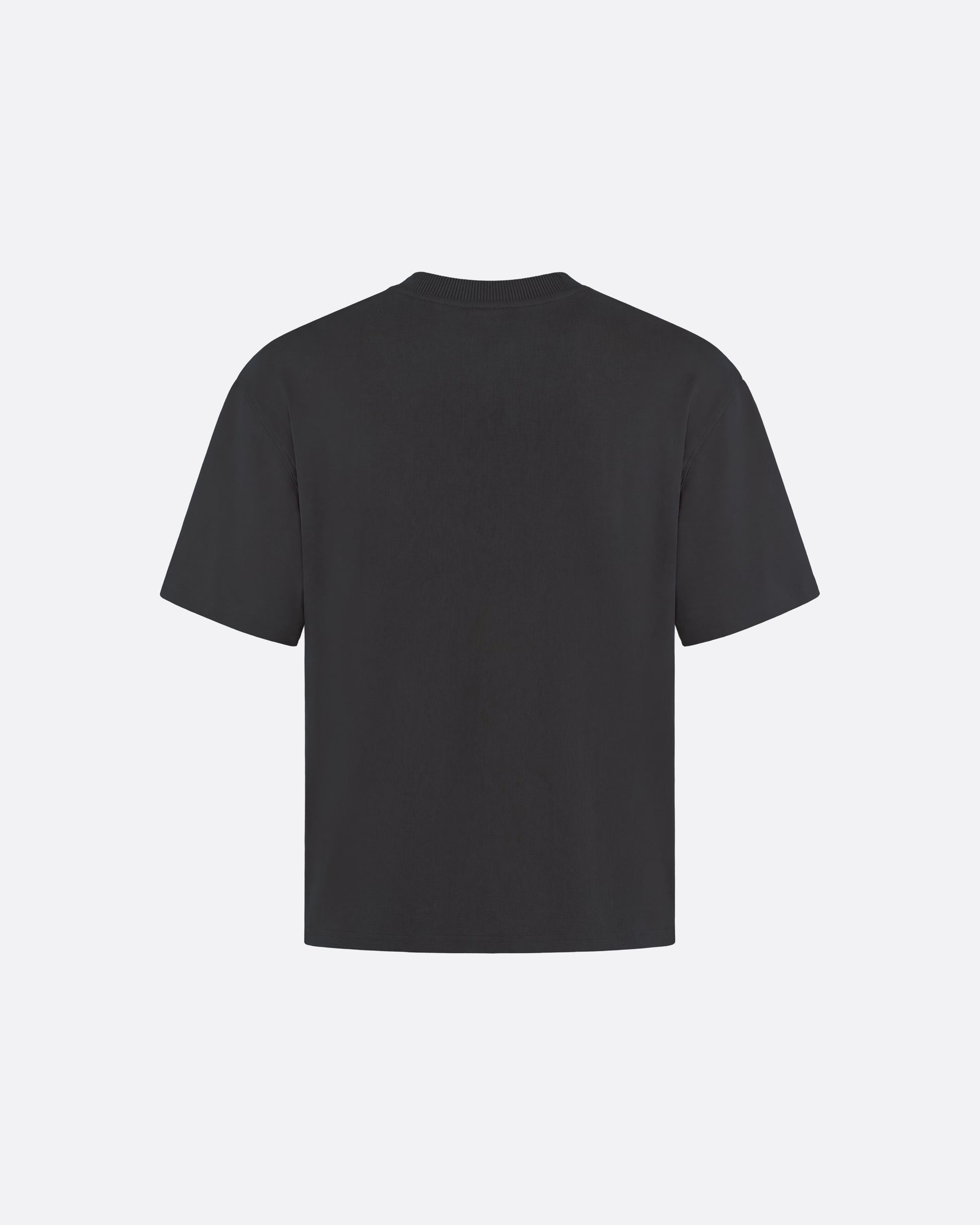 FITTED CROP T-SHIRT - GRAY