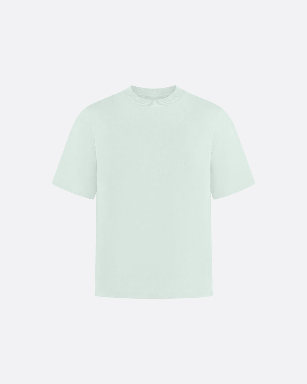 HEAVYWIGHT FITTED CROP T-SHIRT - MINT GREEN