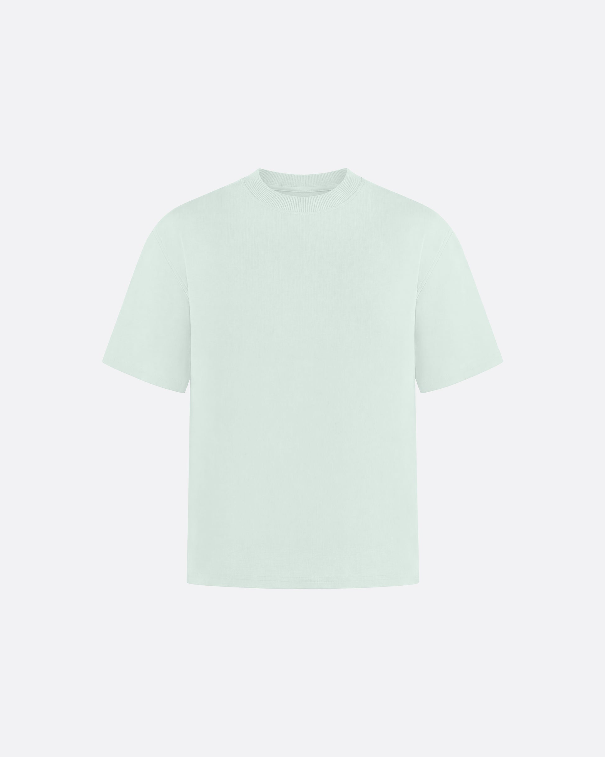 HEAVYWIGHT FITTED CROP T-SHIRT - MINT GREEN