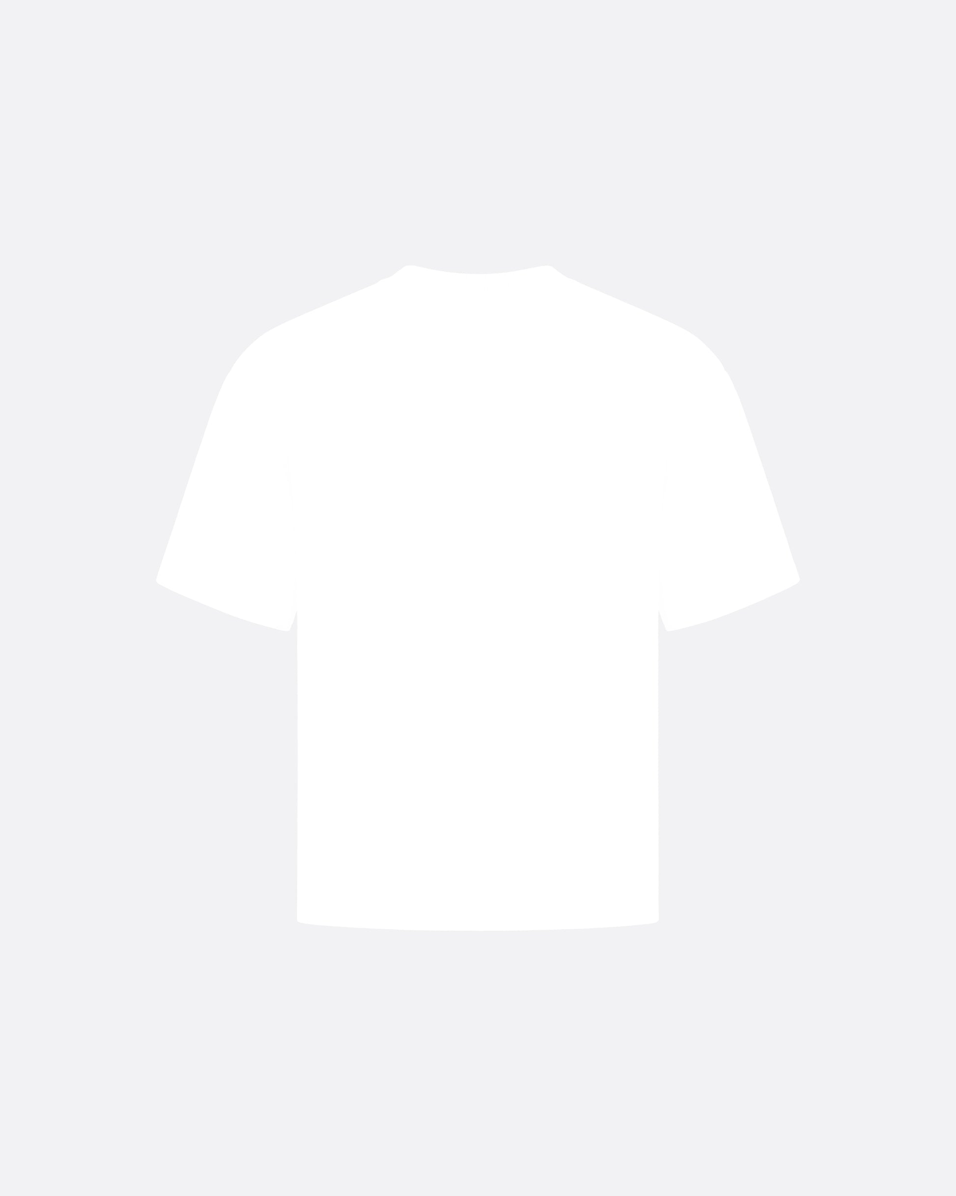 FITTED CROP T-SHIRT - WHITE